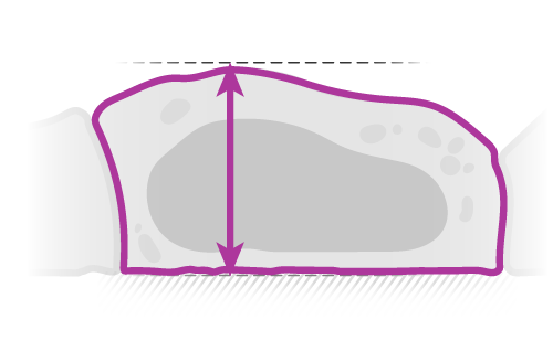 cell height